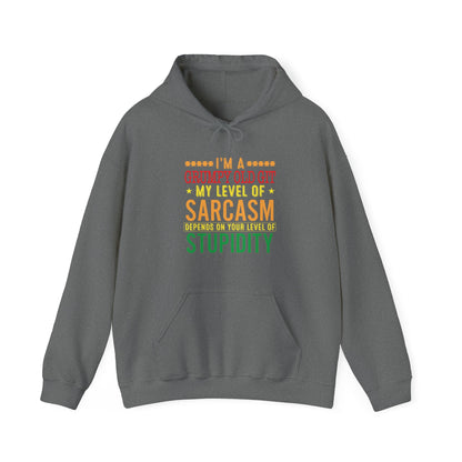 Grumpy Old Git Only My Level of Sarcasm Depends on you level of stupidity Unisex Hoodie