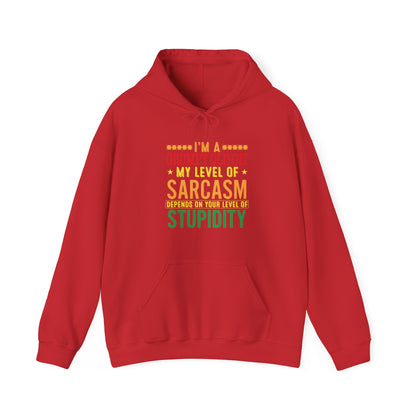 Grumpy Old Git Only My Level of Sarcasm Depends on you level of stupidity Unisex Hoodie